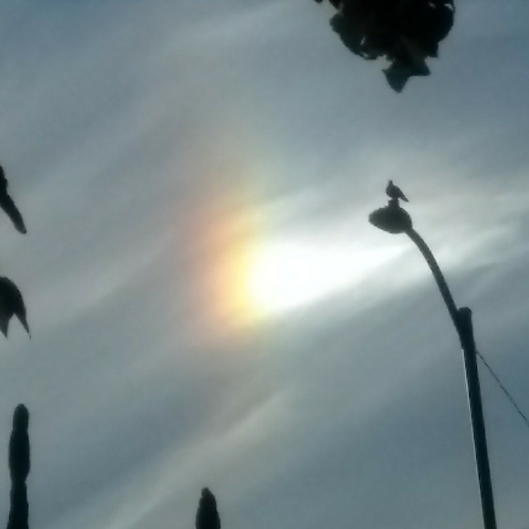 Meet your Posher, Cc - Picture 1 of 1